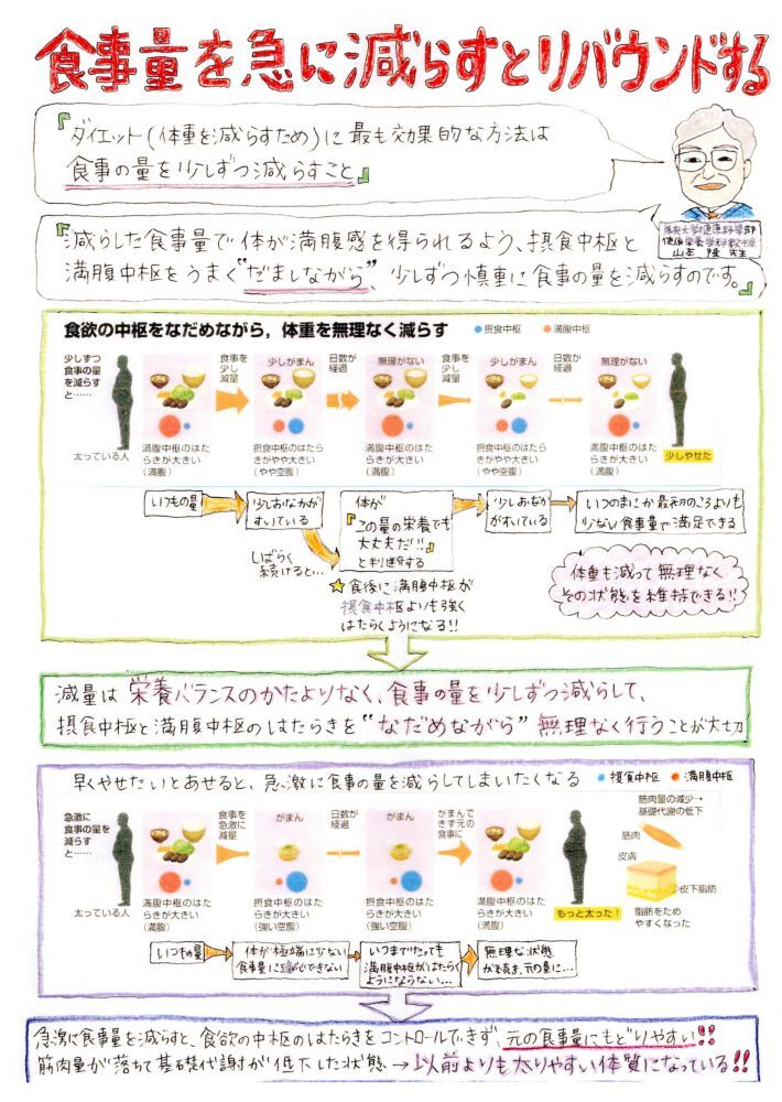 （Vol.10）食事量を急に減らすと