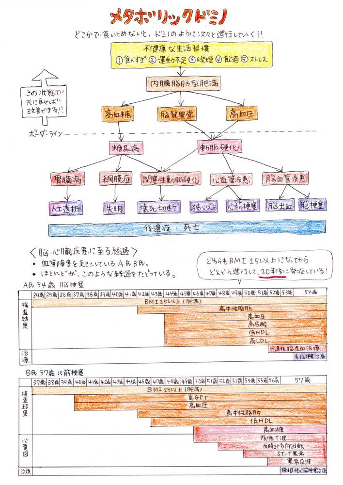 （Vol.06）メタボリックドミノ