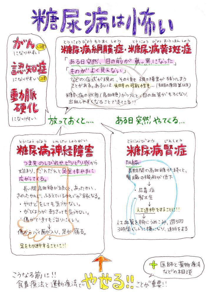 （Vol.04）糖尿病1